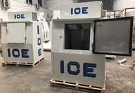 Gas Station Ice Cooler Upright Solid Door Freezer Ice Storage Bin