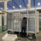 Automatic Defrost R290 Glass Door Display Refrigerator With Secop Compressor