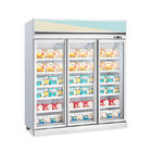 -22C Vertical Glass Door Freezer Commercial Meat Seafood Frozen Display Freezer