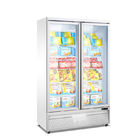 Big Capacity Vertical Display Case Freezer With Double Glass Door