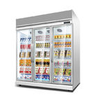 Supermarket Plug - In -22 Degree Vertical Freezer With Glass Door