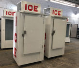 Cold Wall Bagged Ice Merchandiser for Outdoor Use