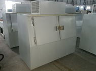 Double slant doors ice merchandiser for gas station bagged ice stroaged
