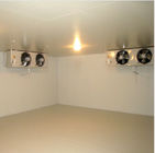 Customized Freezer Cold Storage Room For Green Tea Or Pizza