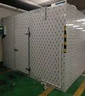 Electric Defrosting Cold Store Room For Fruit And Vegetables With Volume Of 800 Tons