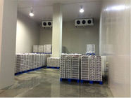 Commercial Meat Walk In Freezer Cold Storage Room