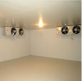 440V Cold Storage Room / Modular Potato Cold Store Fruit And Vegetables Prefabricated Cold Rooms