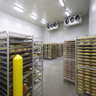 Cold Storage Room for Fruit and Vegetable Warehouse