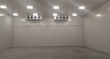 -10~+15°C Fruit Vegetable Cold Storage Warehouse for Supermarket