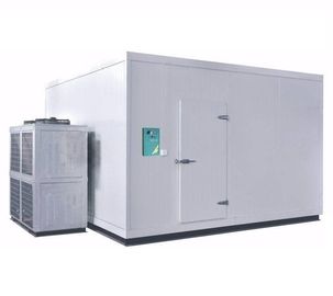 Prefabricated Energy-saving Cold Room Food Storage Room