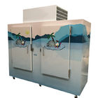 Large Capacity 1000L Ice Storage Bagged Freezer Refrigerator with 2 Doors