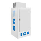 Solid Door Outdoor Ice Merchandiser Bagged Ice Storage Freezer
