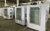220V 110V Single Glass Door Upright Storage Freezer For Bagged Cube Ice