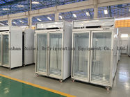 Top Mounted Commercial Glass Freezer With Automatic Drain Water Evaporating System