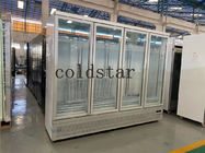 Promotion Product Commercial Vertical Single Temperature Glass Door Freezer Display Showcase