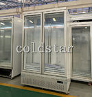 2 Door Grocery Shop Upright Glass Door Freezer Cooler