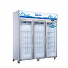 Display pepsi freezer 500l double glass doors cold showcase display refrigerator freezer