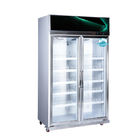 Big Capacity Vertical Display case freezer with double Glass Door