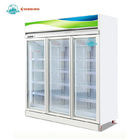 Commercial Frozen Food Upright Display Glass 3 Doors Freezer
