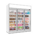 Frozen Food Freezer Display Case Vertical Commercial Glass Door Fridge Freezer