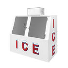 Commercial 2 Doors Bagged Ice Cube Merchandiser Storage Freezer Box Containers
