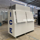 Commercial 2 Doors Bagged Ice Cube Merchandiser Storage Freezer Box Containers