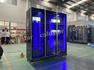 Commercial Full Glass Door Display Fridge Refrigerated Showcase Upright Beer Beverage Cooler