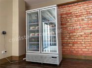 R134A Cold Drink Coolers 2 Glass Doors Refrigerator