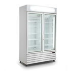 800L Upright Ice Cream Showcase Display Freezer