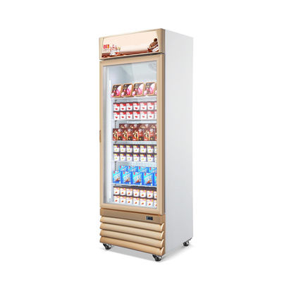 Supermarket Refrigerated Showcase Ice Cream Upright Display Freezer Commercial Glass Door Freezer