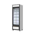 -22C 450L Commercial Freezers Upright Ice Cream Fridge Showcase