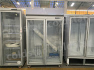 Commercial Refrigerator Double Glass Door Display Freezer With AD Board