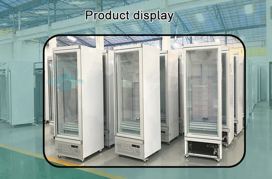 Commercial -22 Degrees Upright Showcase Display Refrigerator Freezer Glass Door