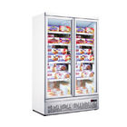 Double Glass Door Freezer Commercial Stand Up Freezer Built - In Secop Compressor