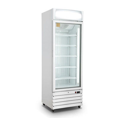 Upright Glass Door Freezer Supermarket 400L Single Door Ice Cream Display Freezer