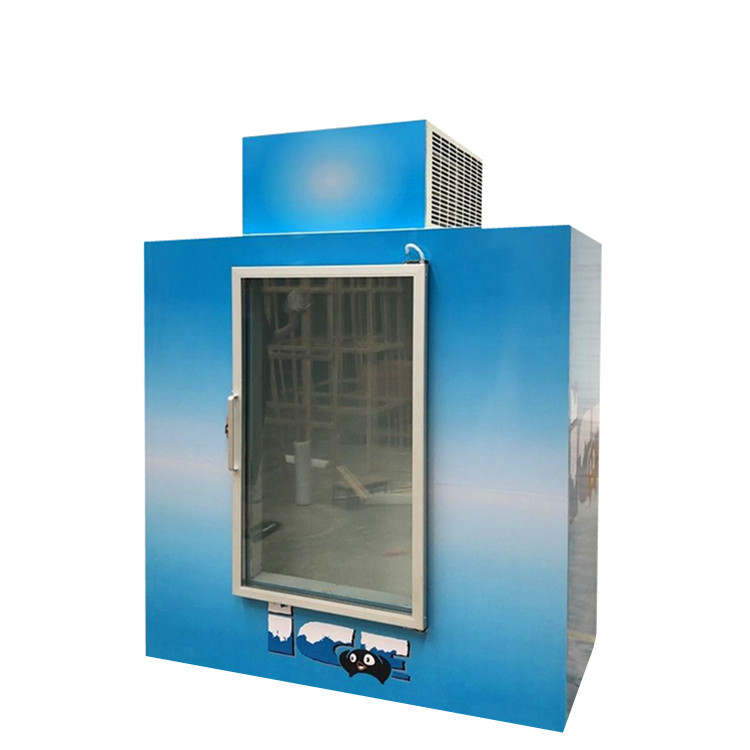 Upright Bagged Ice Storage Bin with Single Glass Door