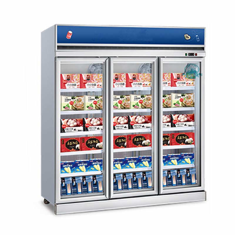 Convenience Store Upright Glass Door Freezer Fridge Refrigeration Equipment