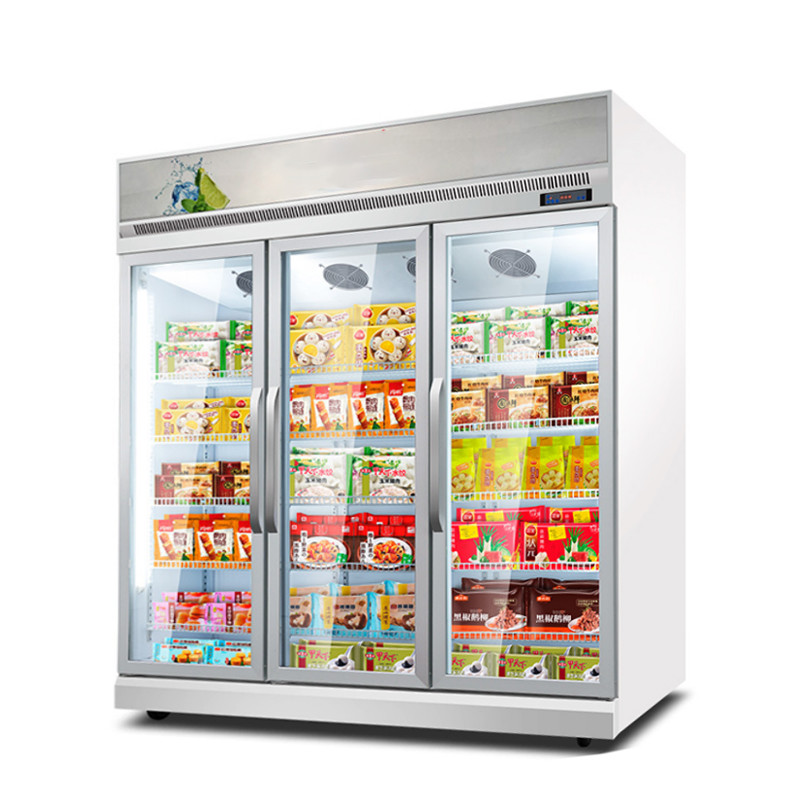 Upright Freezer Philippines / Malaysia Used Commercial Ice Cream